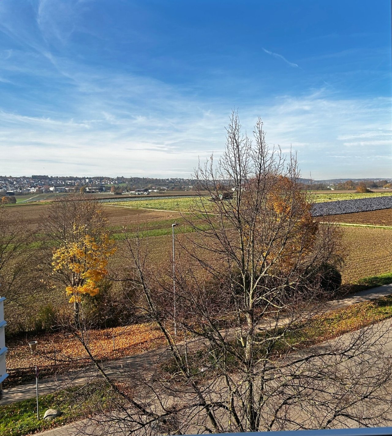 MV25-11-015 Fi-Bonl. Aussicht